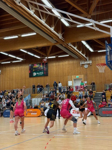 TS Jahn München Basketball News